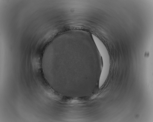 X0000091980224200709201433