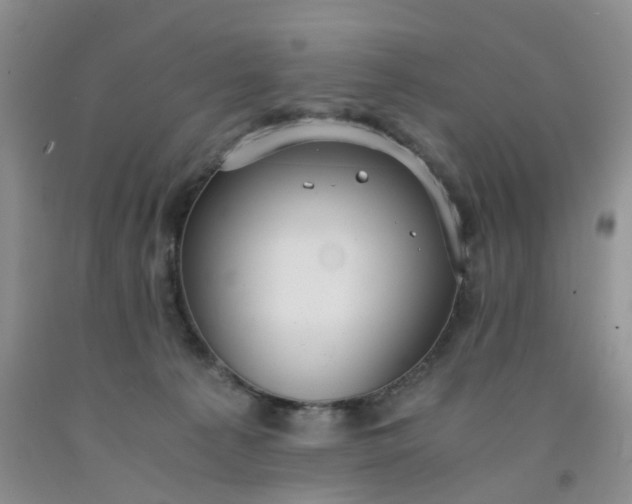 X0000091980225200709201433