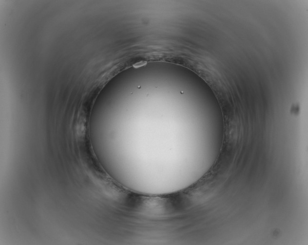 X0000091980226200709201433