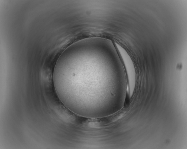 X0000091980228200709201433