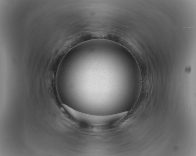 X0000091980229200709201433