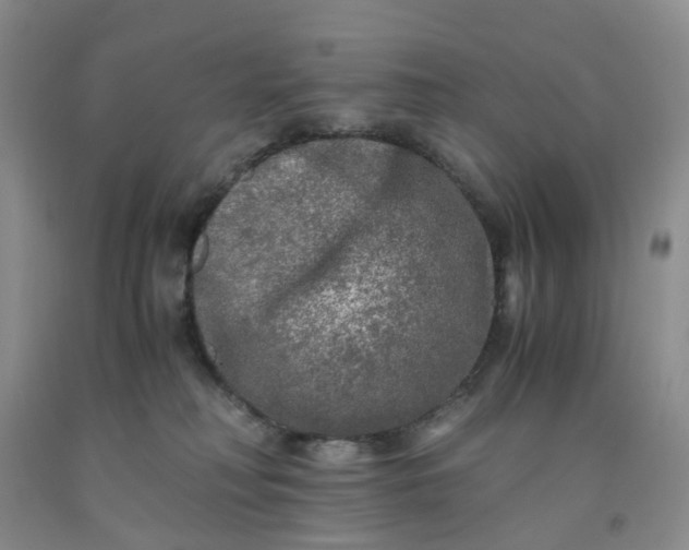 X0000091980230200709201433