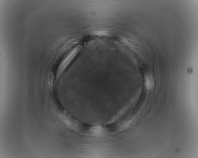 X0000091980231200709201433