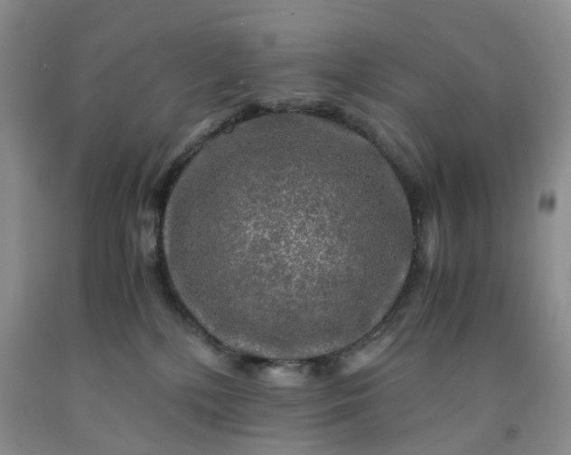 X0000091980232200709201433