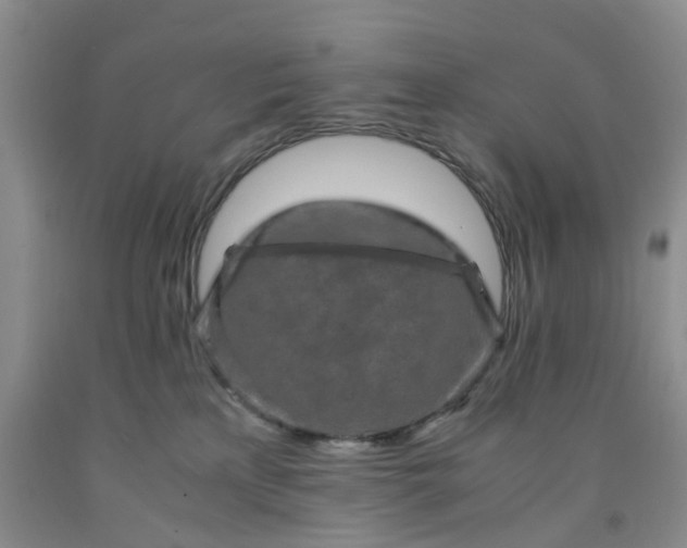 X0000091980233200709201433