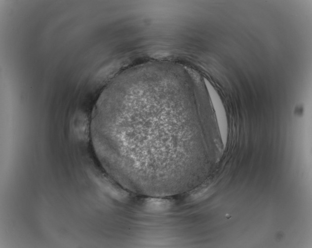 X0000091980234200709201433