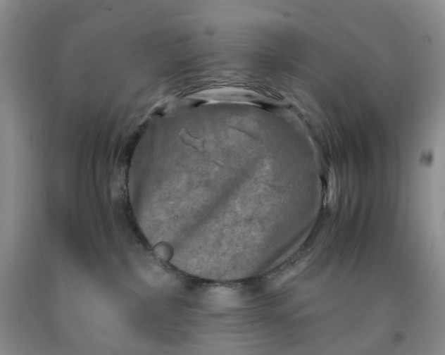 X0000091980236200709201433