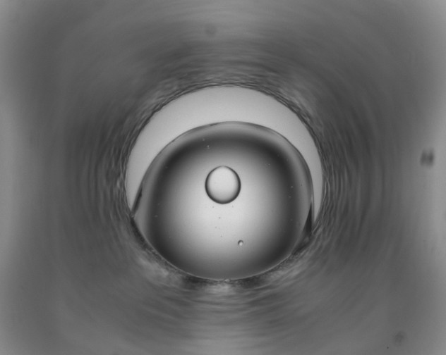 X0000091980237200709201433