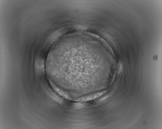 X0000091980238200709201433