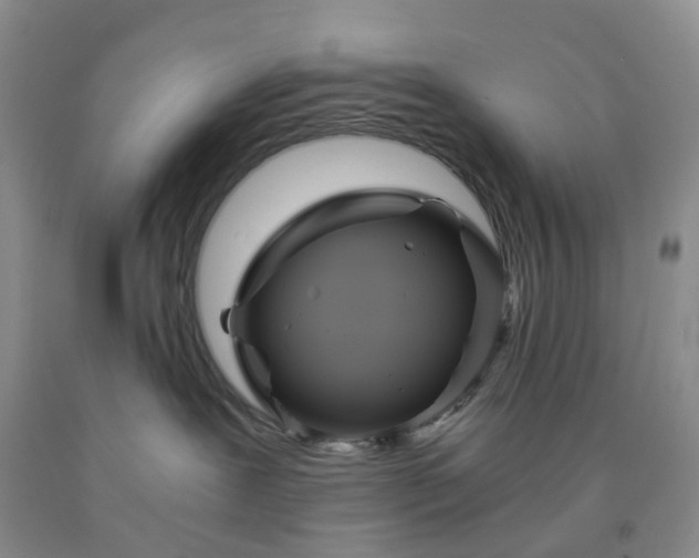 X0000091980239200709201433