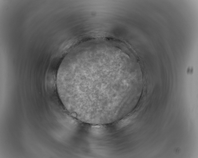 X0000091980240200709201433