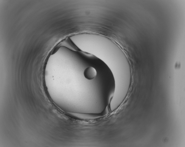 X0000091980241200709201432