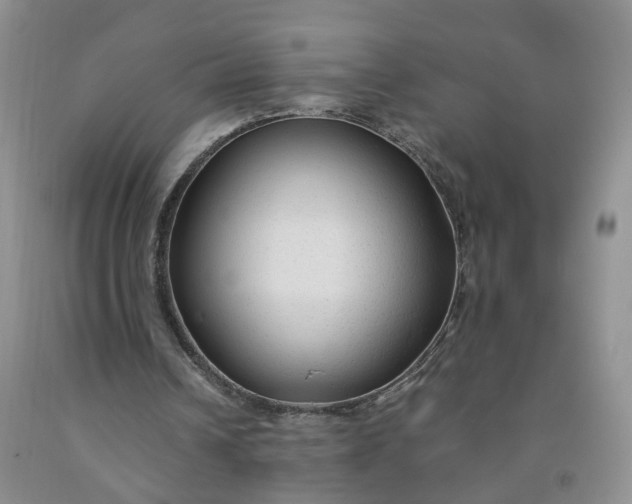 X0000091980242200709201432