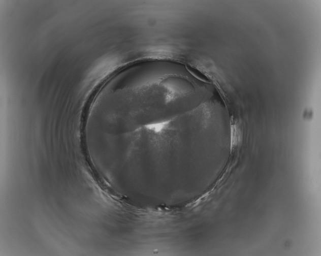 X0000091980243200709201432