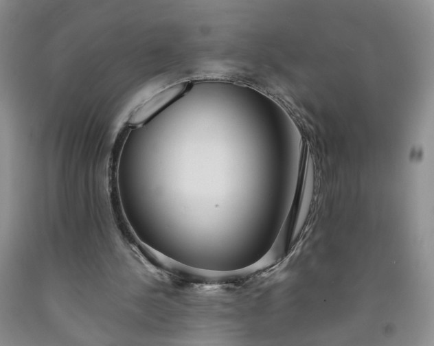 X0000091980244200709201432