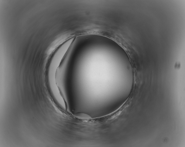 X0000091980245200709201432