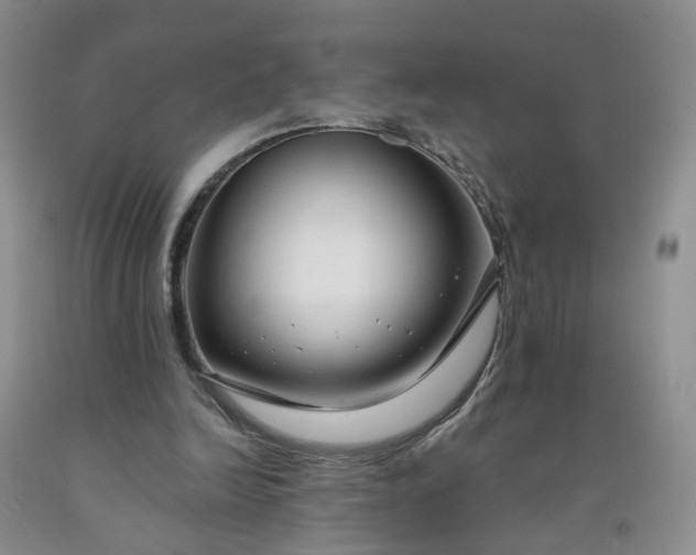 X0000091980246200709201432