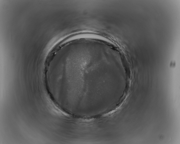 X0000091980247200709201432