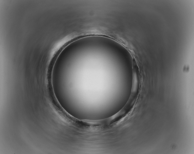 X0000091980248200709201432