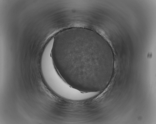 X0000091980249200709201432