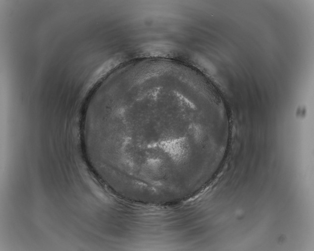 X0000091980250200709201432