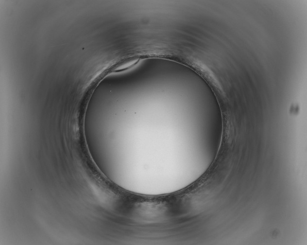 X0000091980251200709201432