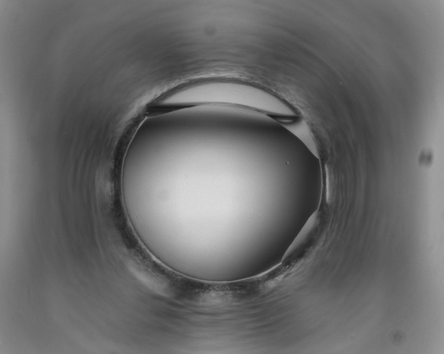 X0000091980252200709201432