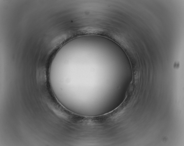 X0000091980254200709201432