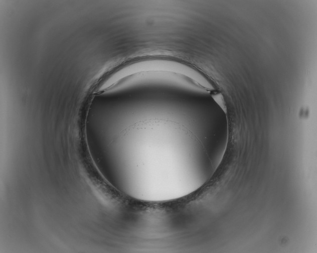 X0000091980256200709201432