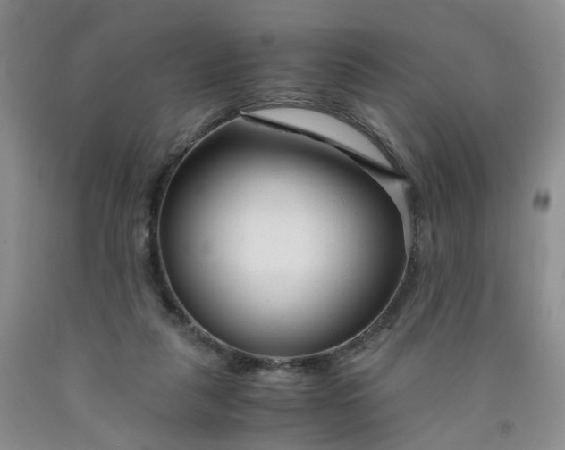 X0000091980259200709201432