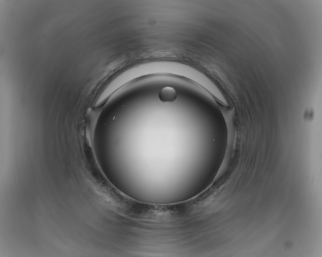 X0000091980260200709201432