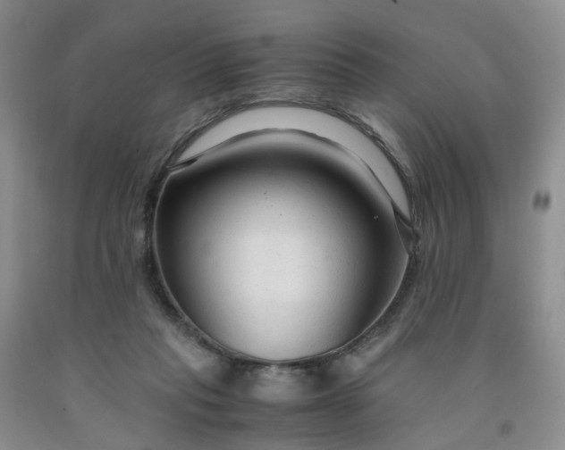 X0000091980261200709201432