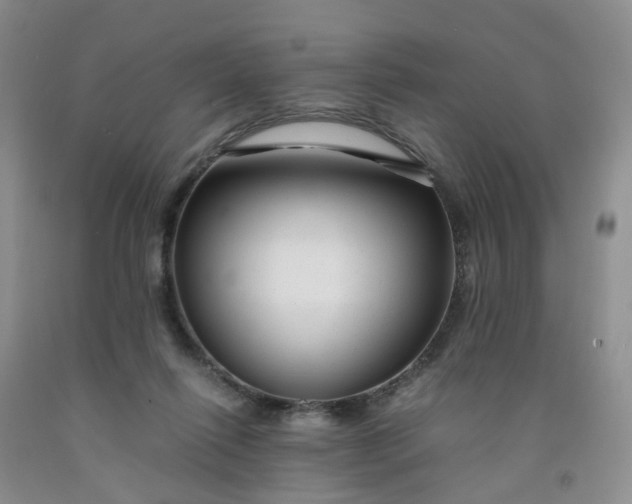 X0000091980262200709201432