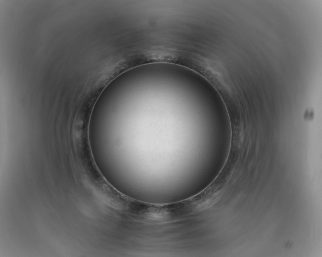 X0000091980263200709201432