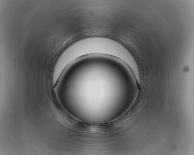 X0000091980264200709201432