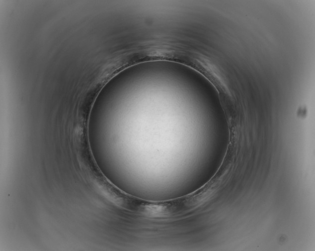 X0000091980265200709201432