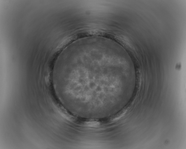 X0000091980266200709201432