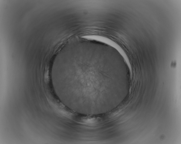 X0000091980267200709201433