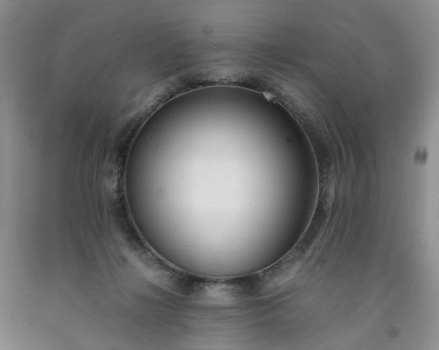 X0000091980268200709201433