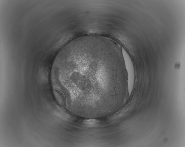 X0000091980269200709201433