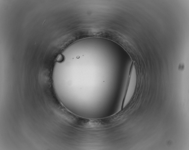 X0000091980270200709201433