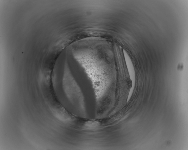 X0000091980271200709201433