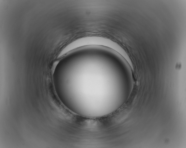 X0000091980272200709201433