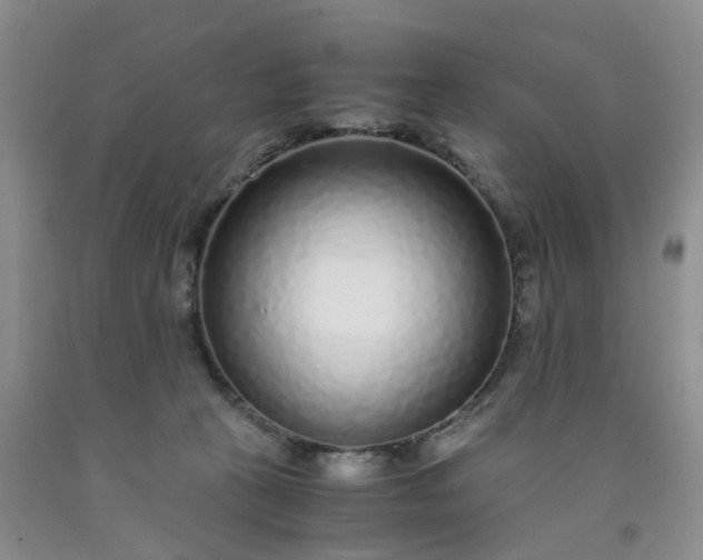 X0000091980273200709201433