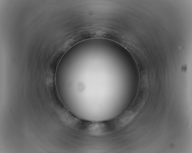 X0000091980274200709201433