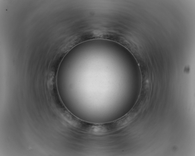 X0000091980275200709201433