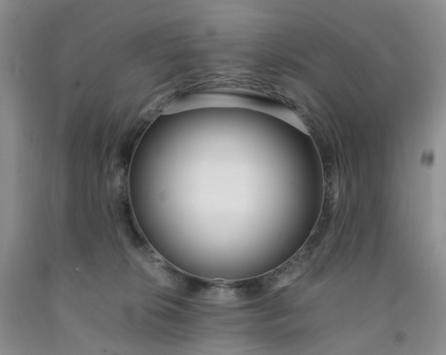 X0000091980276200709201433