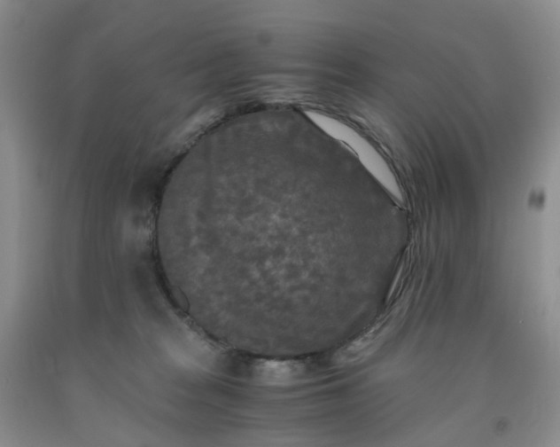 X0000091980277200709201433