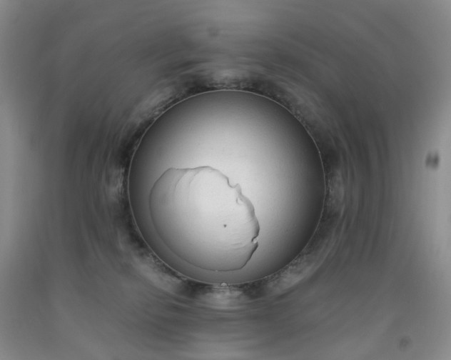 X0000091980278200709201433