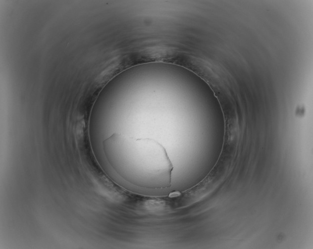 X0000091980279200709201433